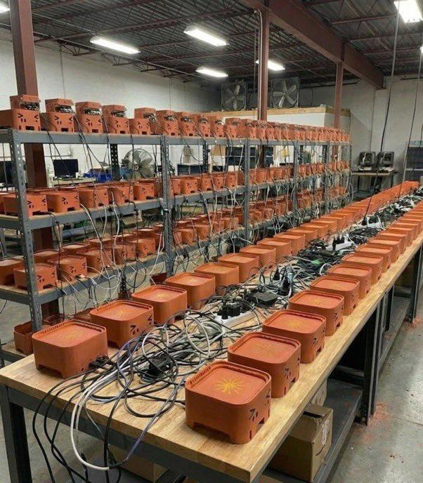 бот-ферма китайського трейдера на Polymarket